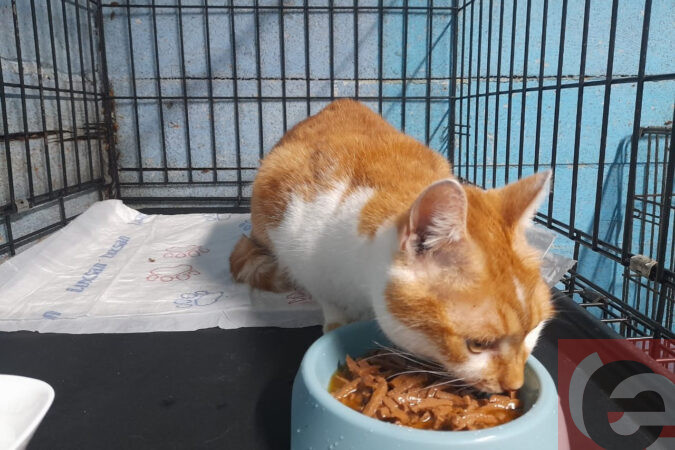    Фото: читатель "Прецедента"