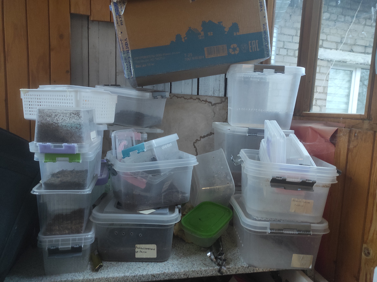 Балкон примерно в таком состоянии)