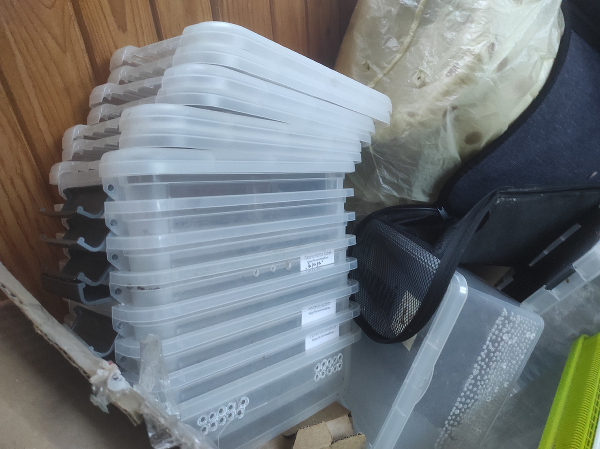 Когда-то здесь жили целые колонии...