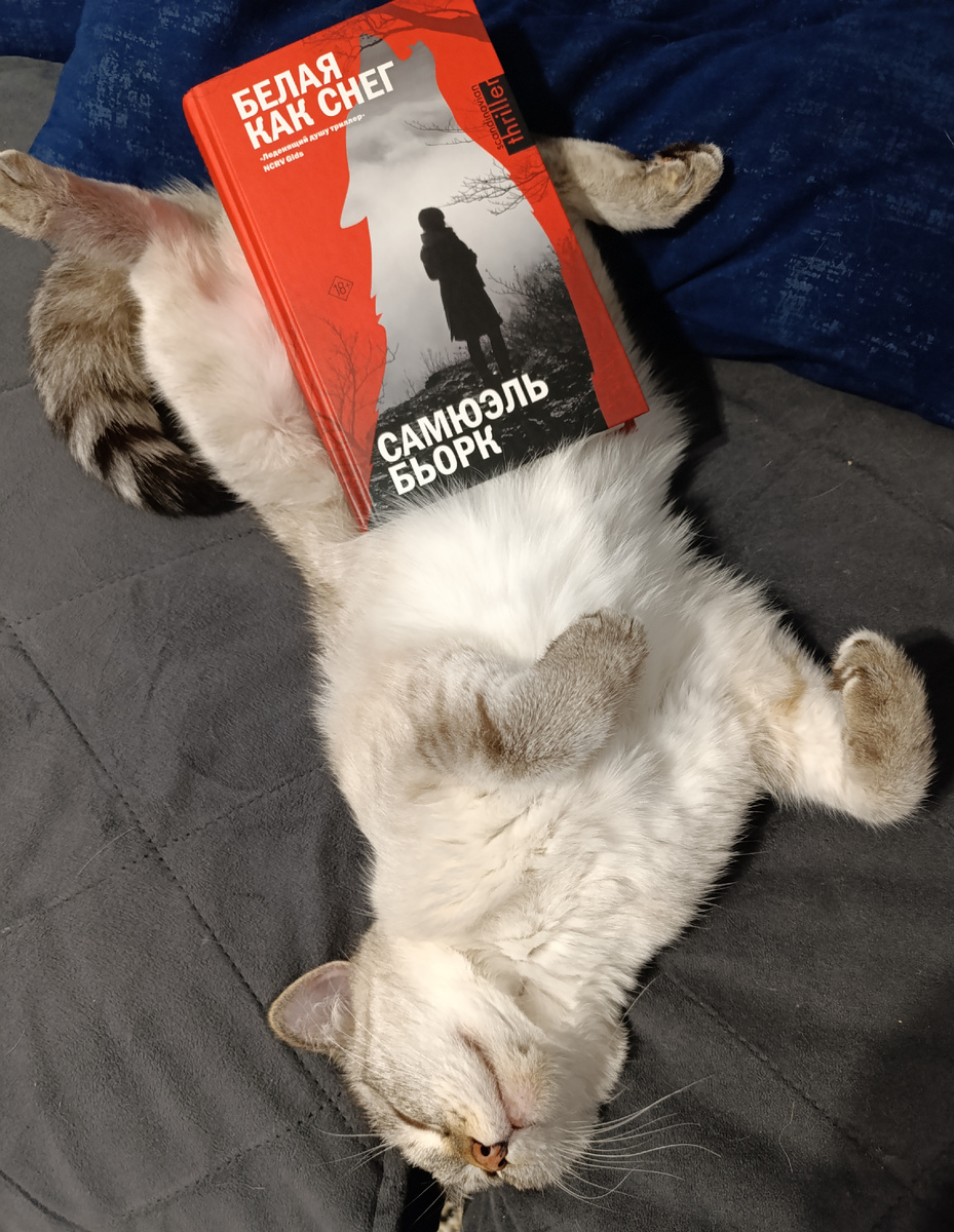 Сегодня читаемую книгу, выигранную в марафоне у Юлии, "Книжная Юла", рекомендует Дженька.