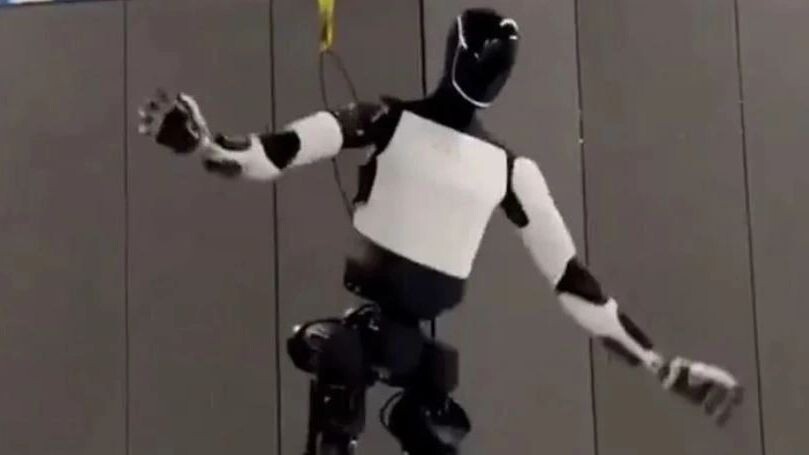    Фото: x.com/elonmusk