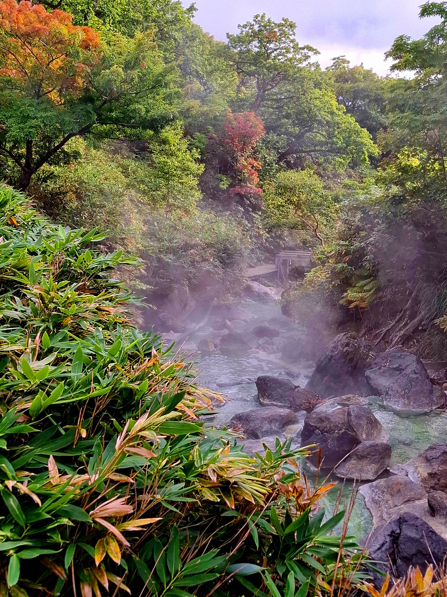 Остров Итуруп, Кипящая речка. Фото автора.