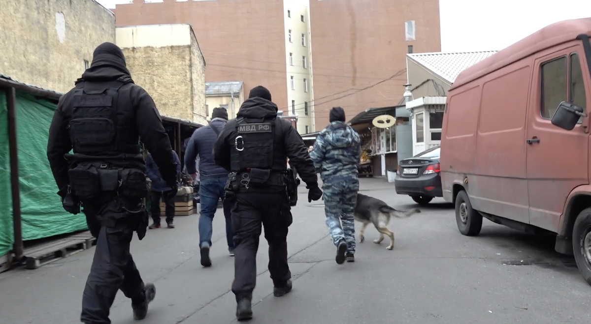Фото: кадр из видео пресс-службы ГУ МВД РФ по Петербургу и Ленобласти