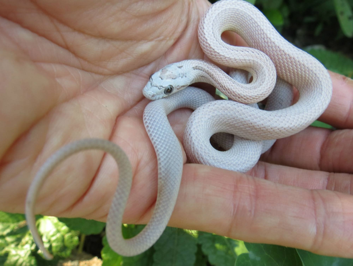 Фото из интернета