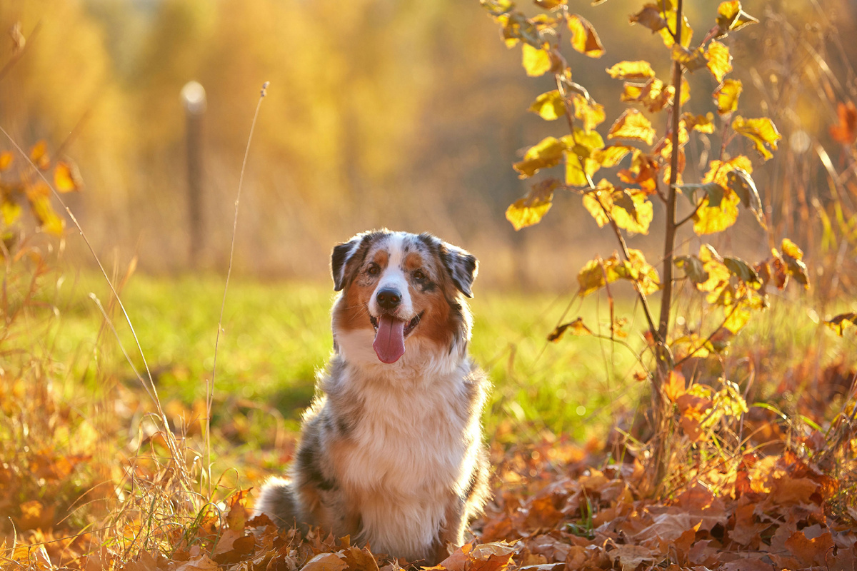 Барыня на отдыхе