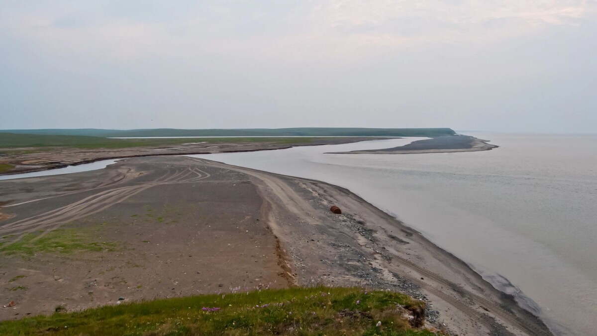    Фото: Oleg Belyakov/Shutterstock/Fotodom