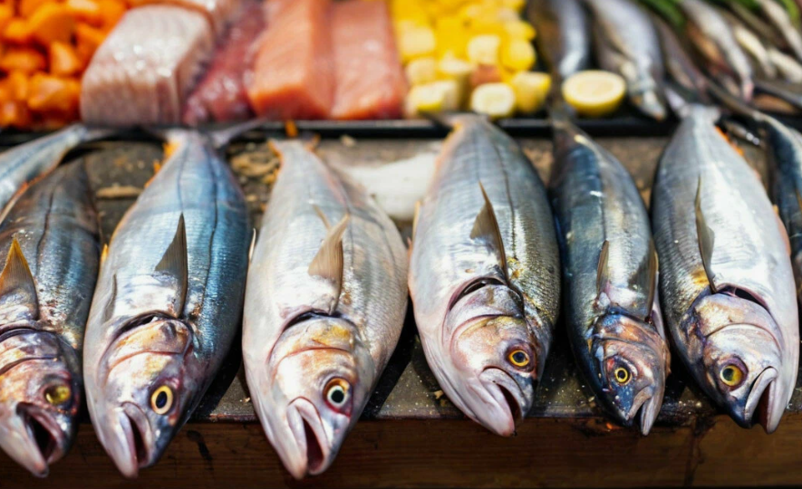 Из чего состоят жабры рыбы и можно ли их есть. Разбираемся