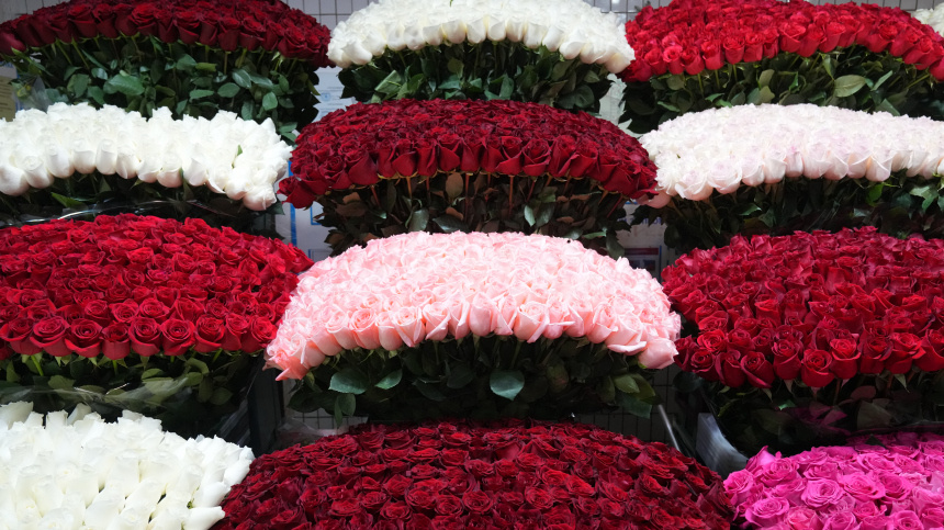    Фото: ИЗВЕСТИЯ/Дмитрий Коротаев