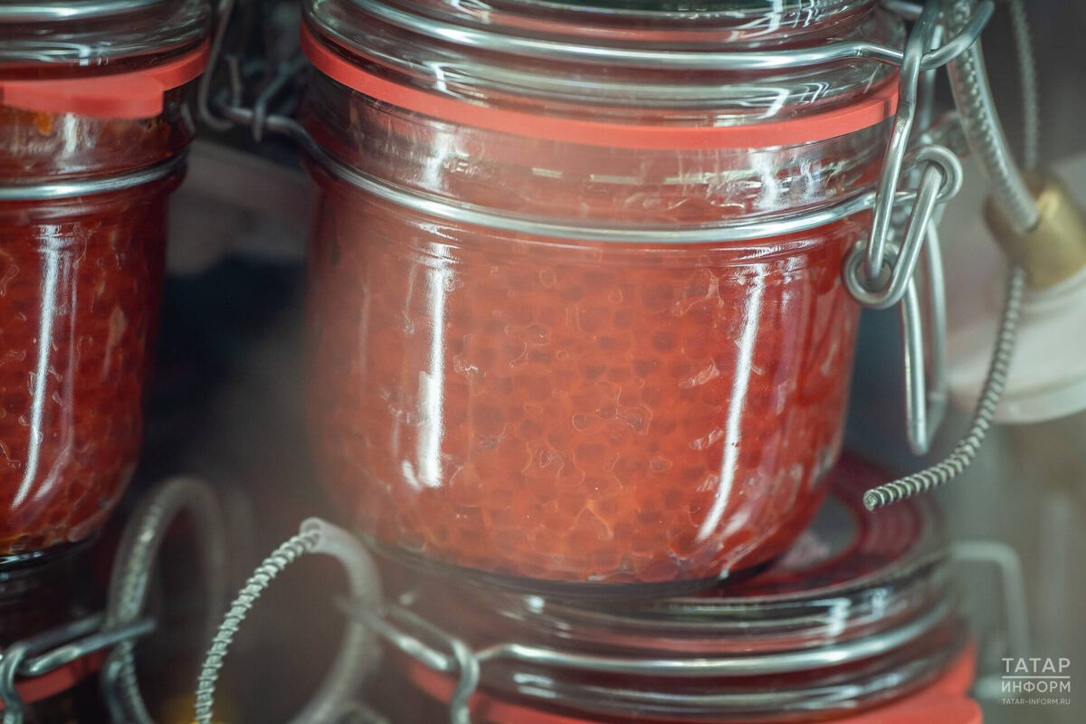 Фото: © Владимир Васильев / «Татар-информ»