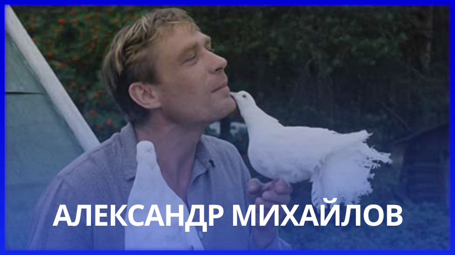 Фото: фильм "Любовь и голуби"