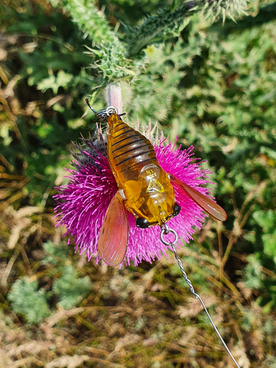 Приманка очень похожа на большое насекомое, будь то жук, стрекоза или бабочка