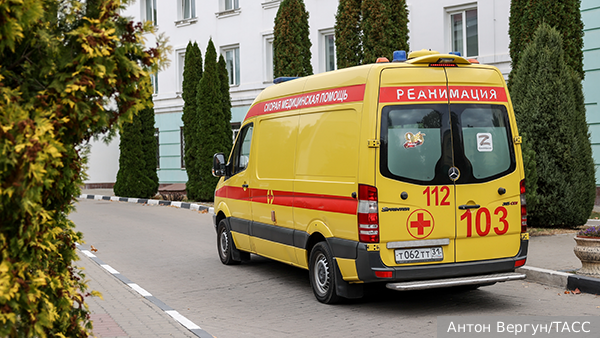     Фото: Антон Вергун/ТАСС   
 Текст: Вера Басилая