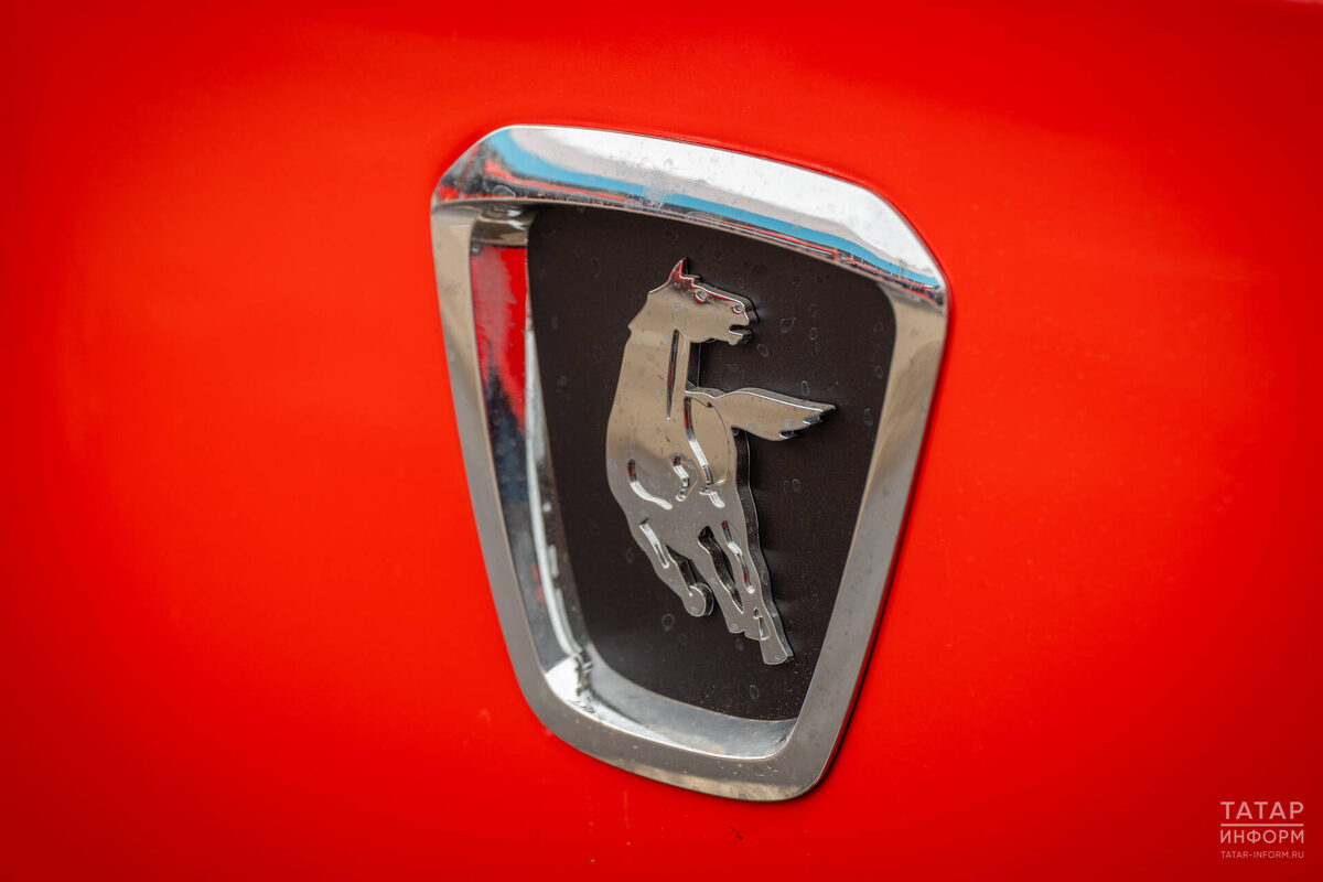 Фото: © Владимир Васильев / «Татар-информ»