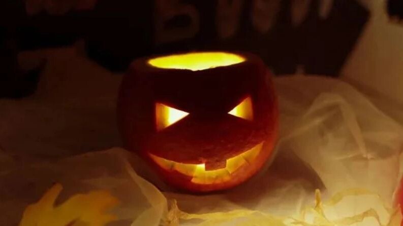    Фото: Olga Gurevna/Shutterstock/Fotodom