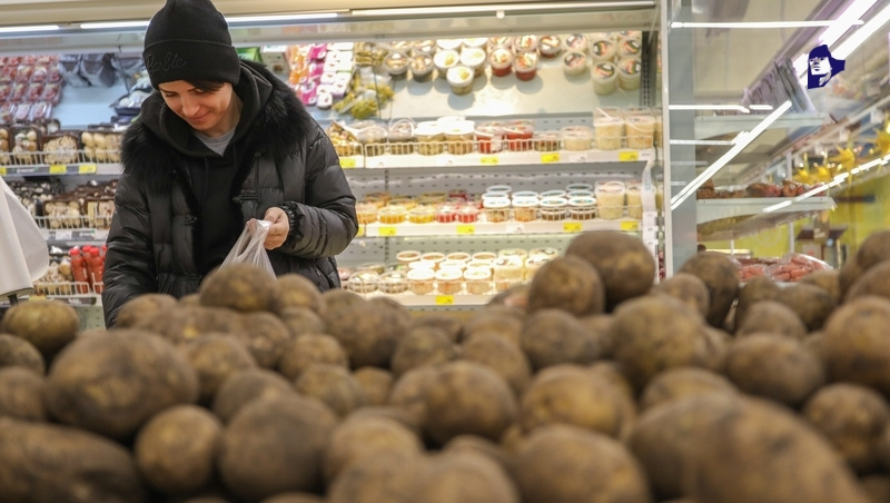      Фото: Дмитрий Ахмадуллин / / ИА «Победа26»