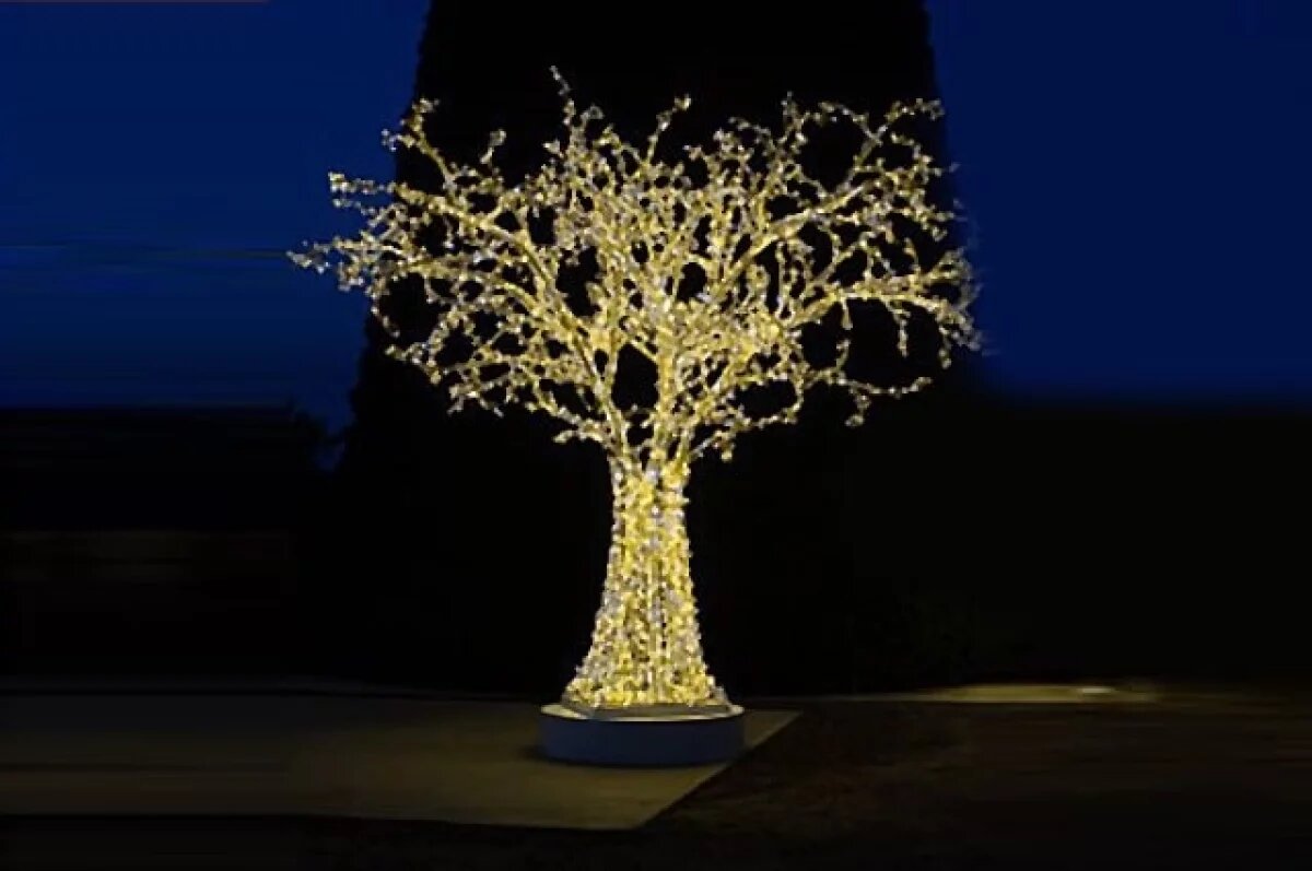    Власти Петропавловска покупают светящиеся деревья к Новому году за 2,6 млн