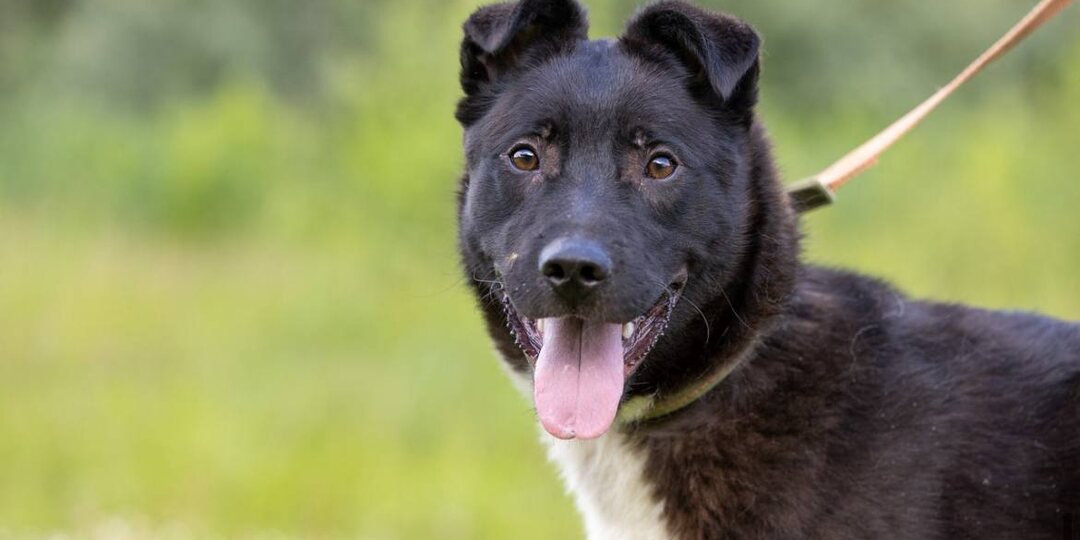 Малыш умирал от страха