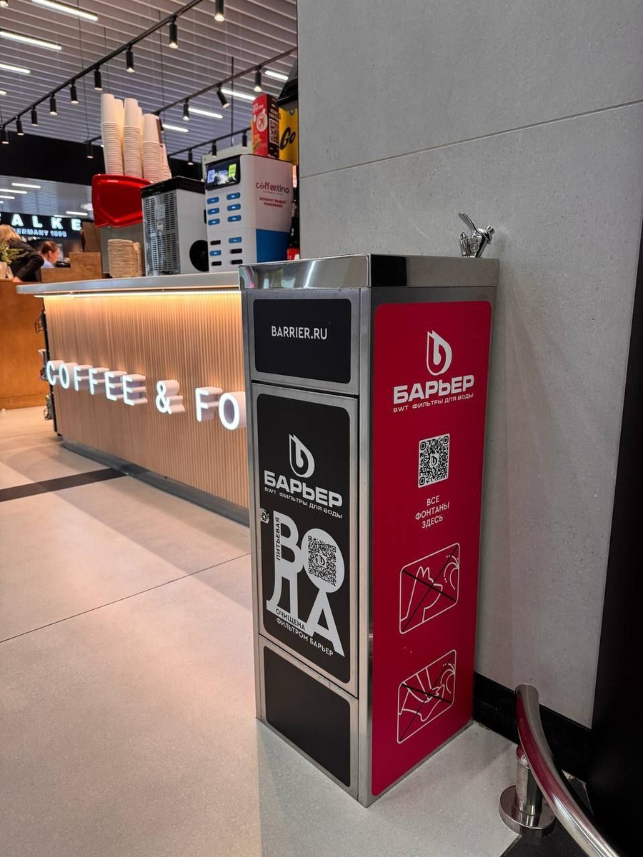    Фото: телеграм-канал аэропорта Толмачёво