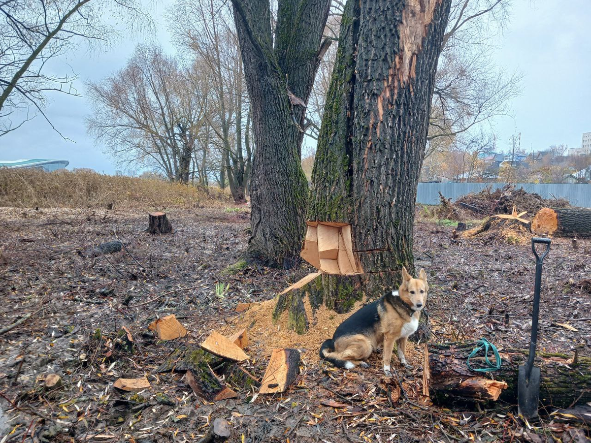 Фото: Тимур Ескараев
