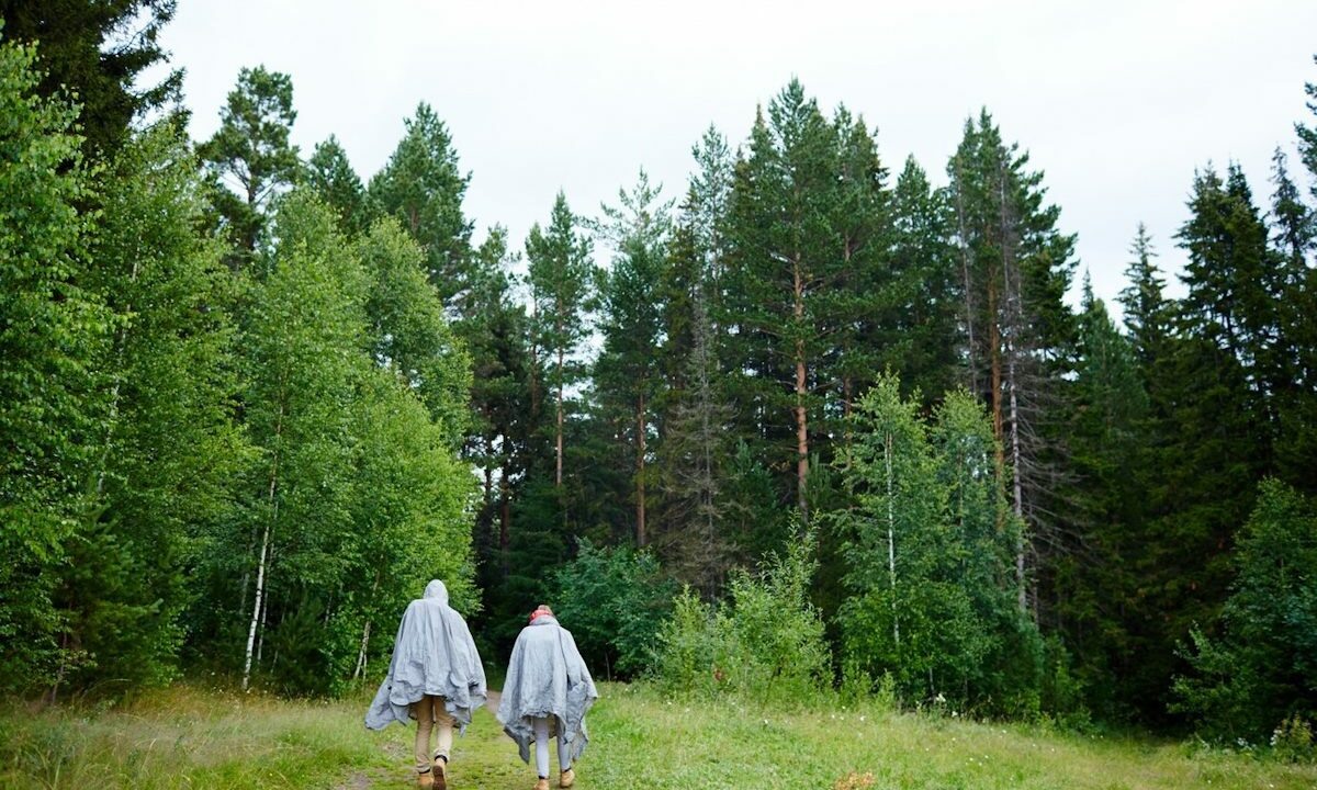    Фото freepik.com