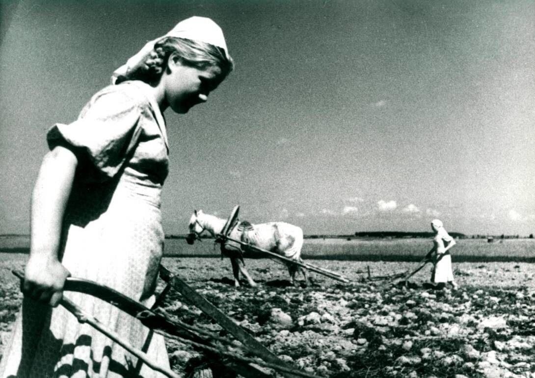 Фото из открытых источников