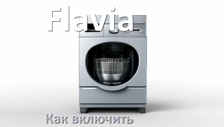 
Как включить посудомоечную машину Flavia правильно