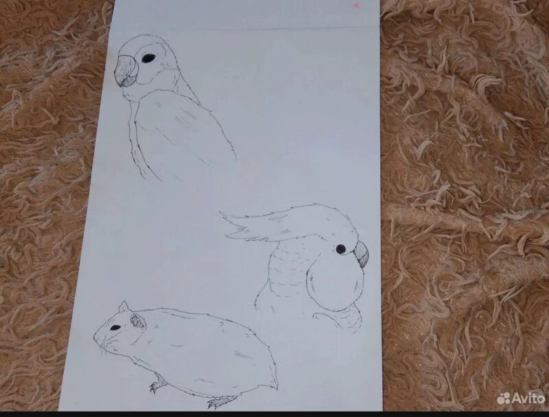 Листайте вправо, чтобы увидеть больше изображений