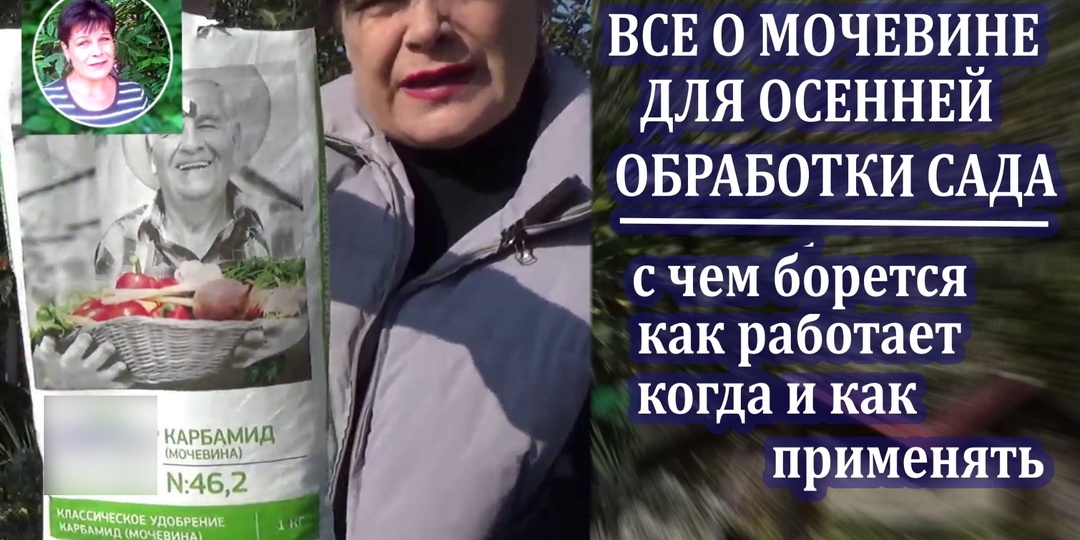 Все о мочевине для последней обработки сада. Подробно. Понятно.