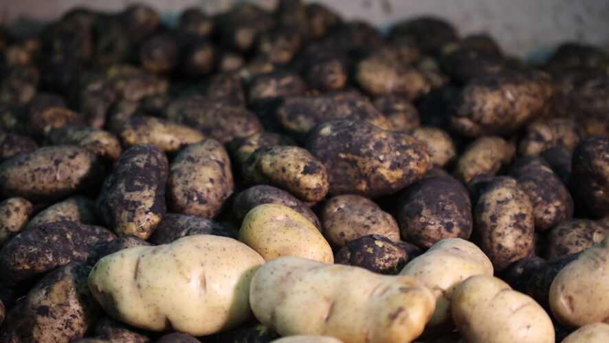    Фото: KazanFirst