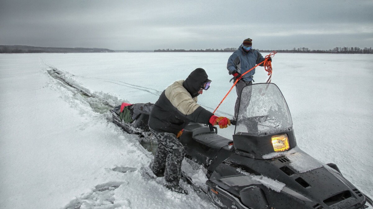    Фото: Venera Salman / Shutterstock / Fotodom