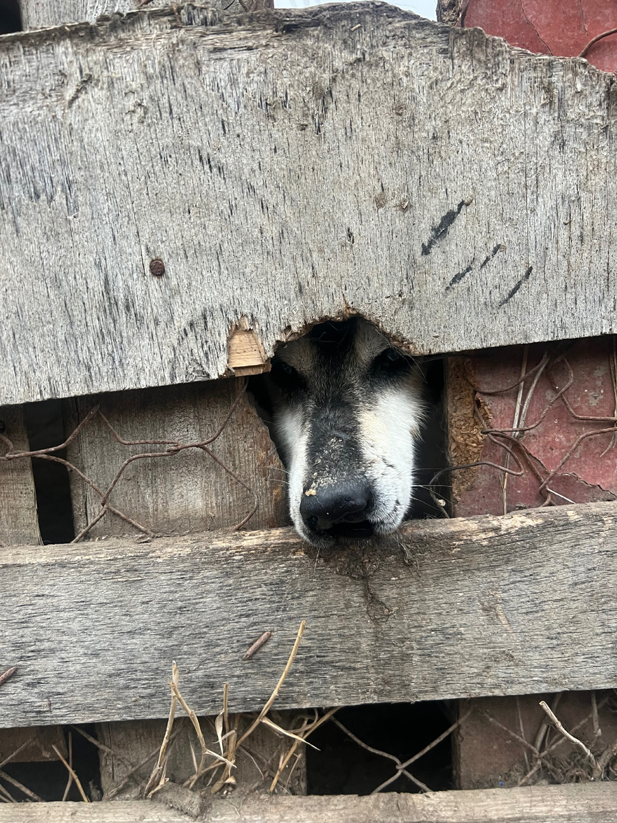 Этот малыш живет тут уже почти 10 лет