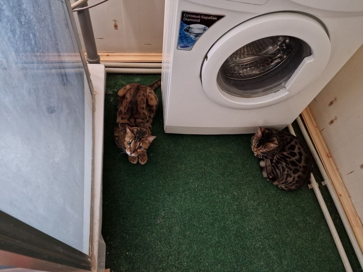    Кидаю фольгу в стиральную машинку, теперь все вещи сияют даже без порошка - жаль, что раньше не знала