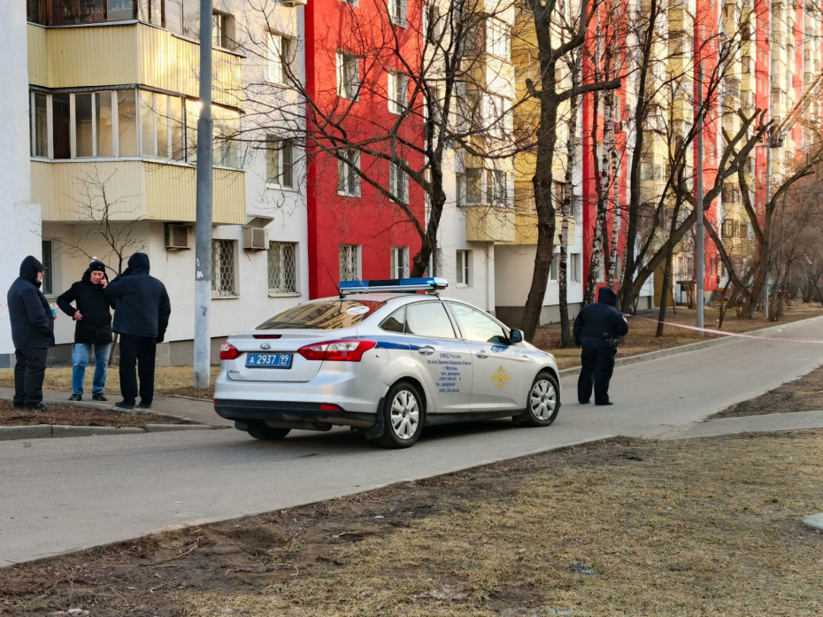    Александра Погиба/NEWS.ru