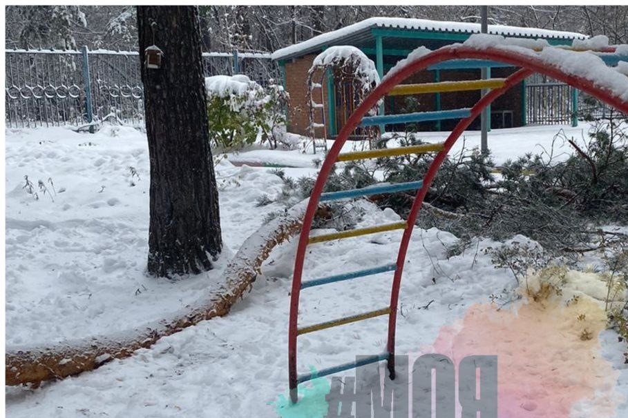    Фото: ТГ-канал "Моя Первомайка"