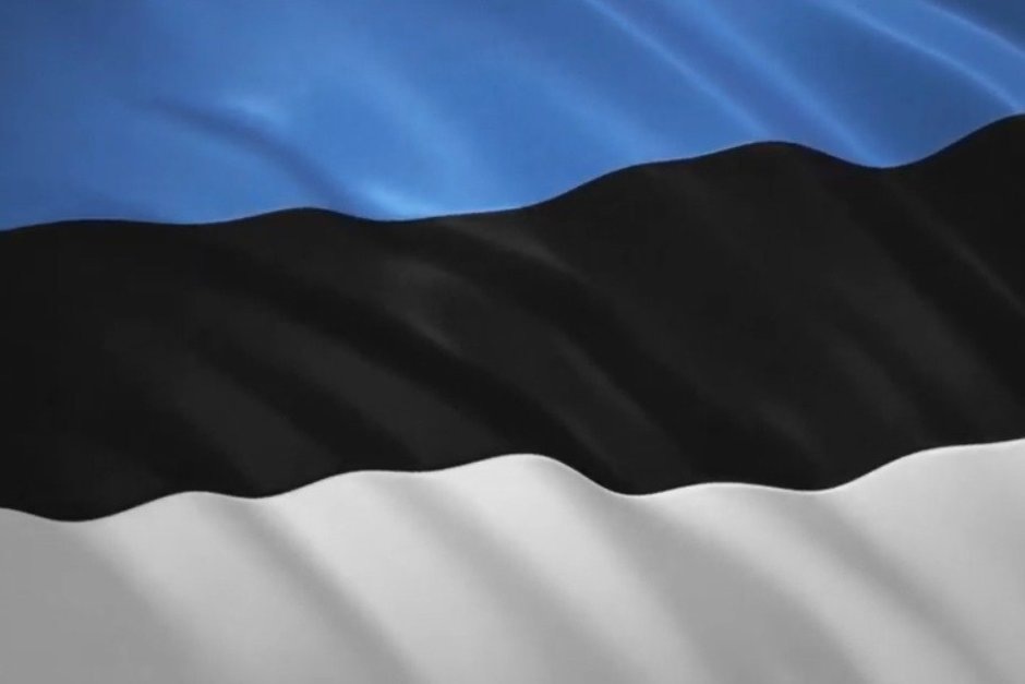   скриншот из видео "Развевающийся флаг Эстонии / Waving Flag of Estonia" с RuTube