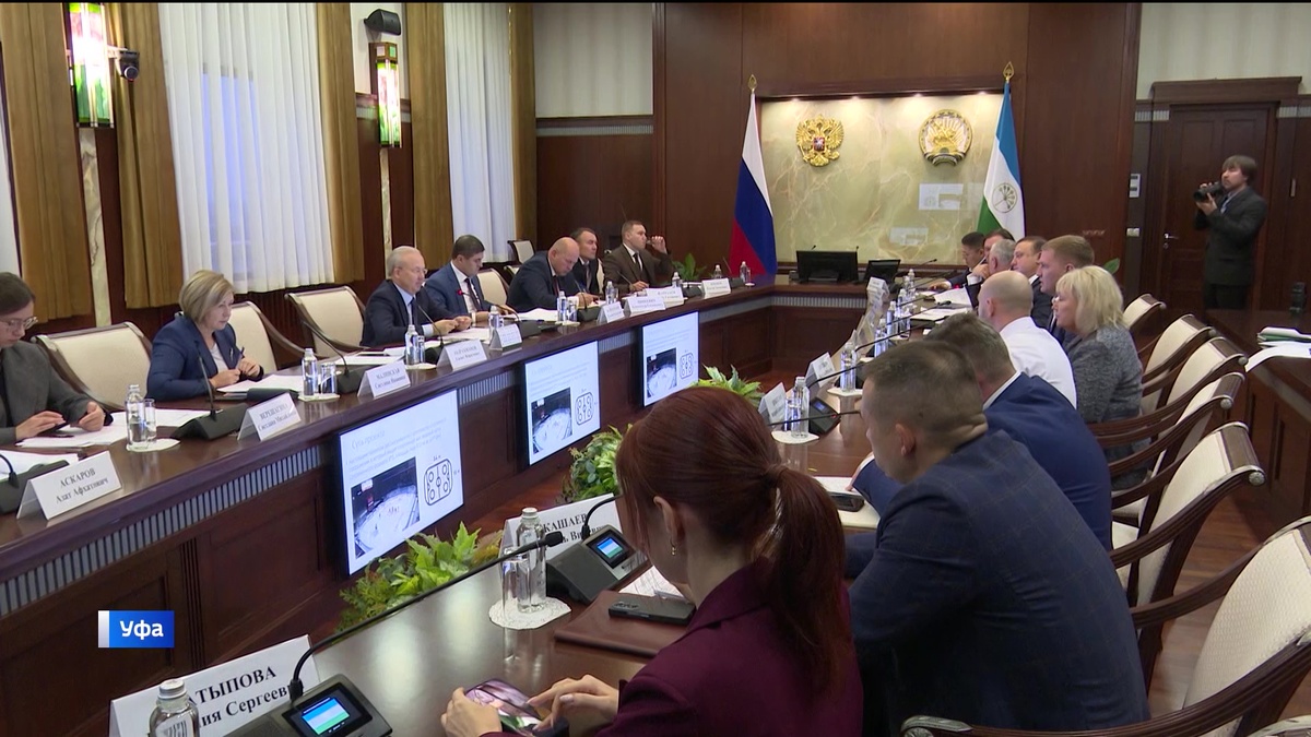    На инвестиционном часе в Башкортостане одобрены проекты в энергетике, спорте и сельском хозяйстве
