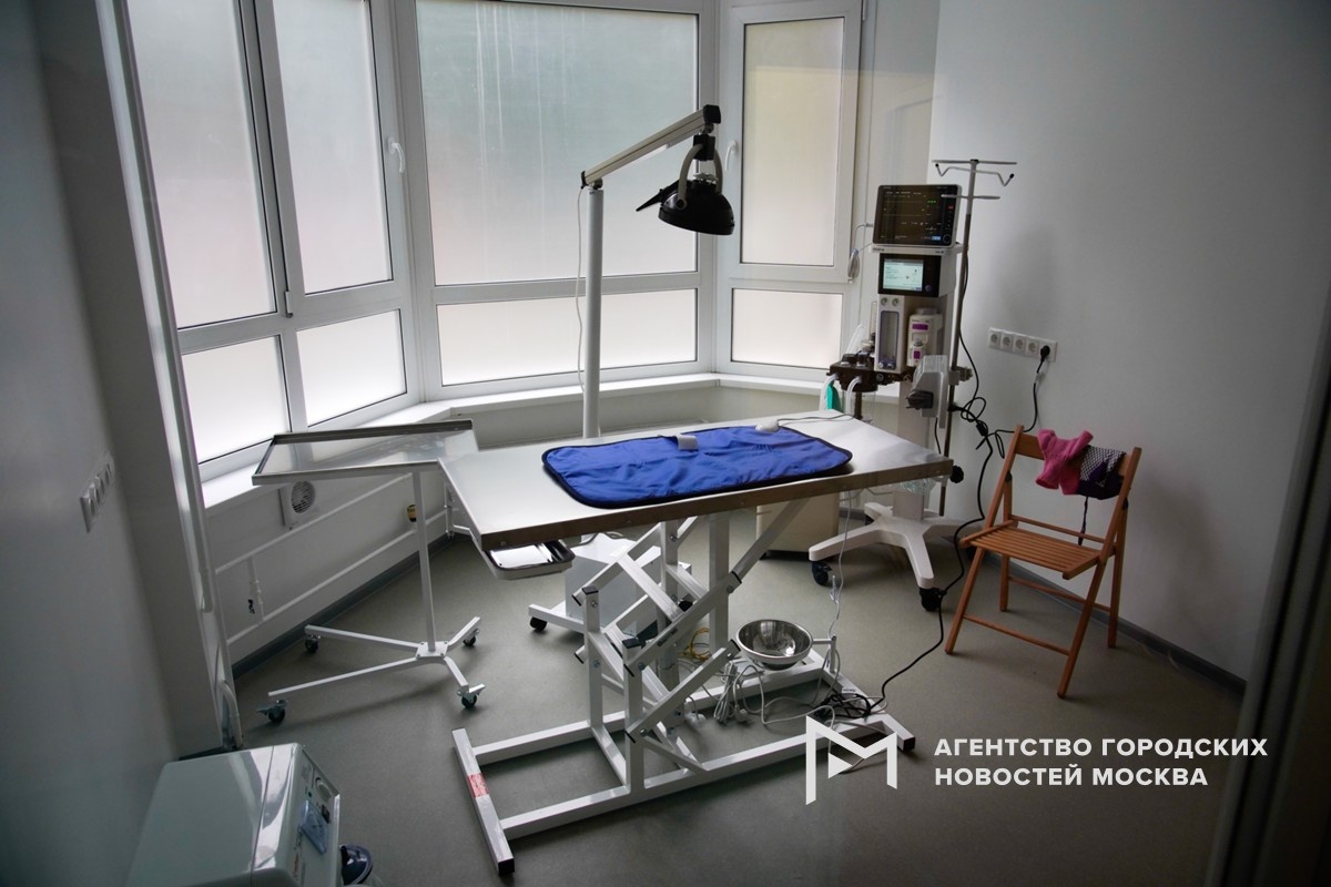 Фотограф: Александр Авилов