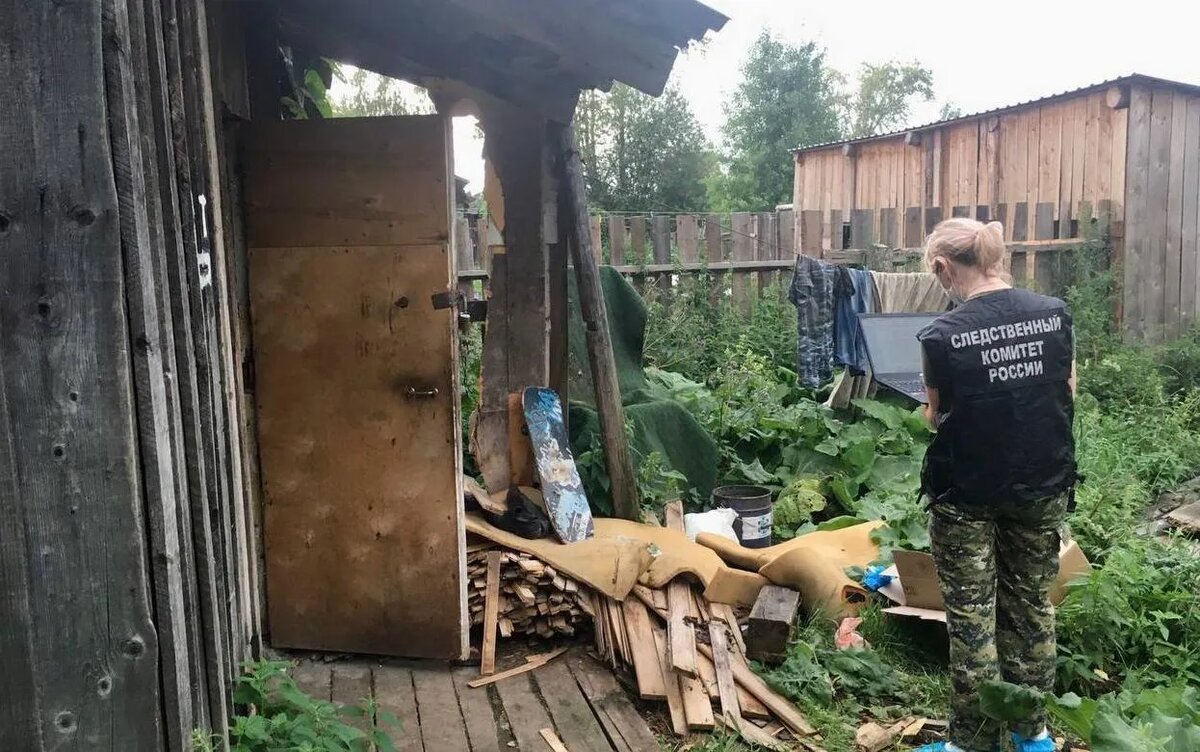    Жителя Балезино осудили на 12 лет за убийство соседа