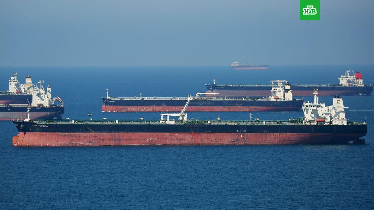    Фото: РИА Новости © 2025, Виталий Тимкив