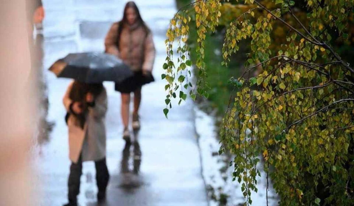     Дождливый Петербург. Источник: spb.kp.ru Автор фото: Алексей Булатов