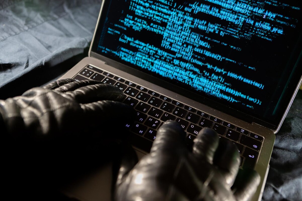 Фото: Олег Золото / «Петербургский дневник»