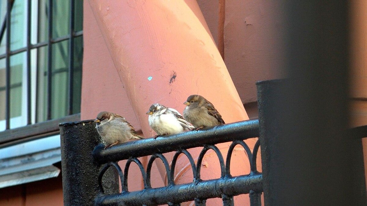 Фото: https://t.me/kazdoytvaripopare/3654/ Павел Глазков