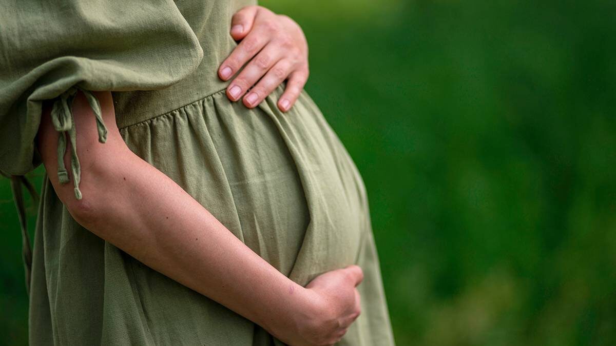    Фото: Shutterstock