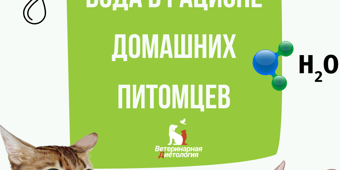 ВОДА В РАЦИОНЕ ДОМАШНИХ ПИТОМЦЕВ