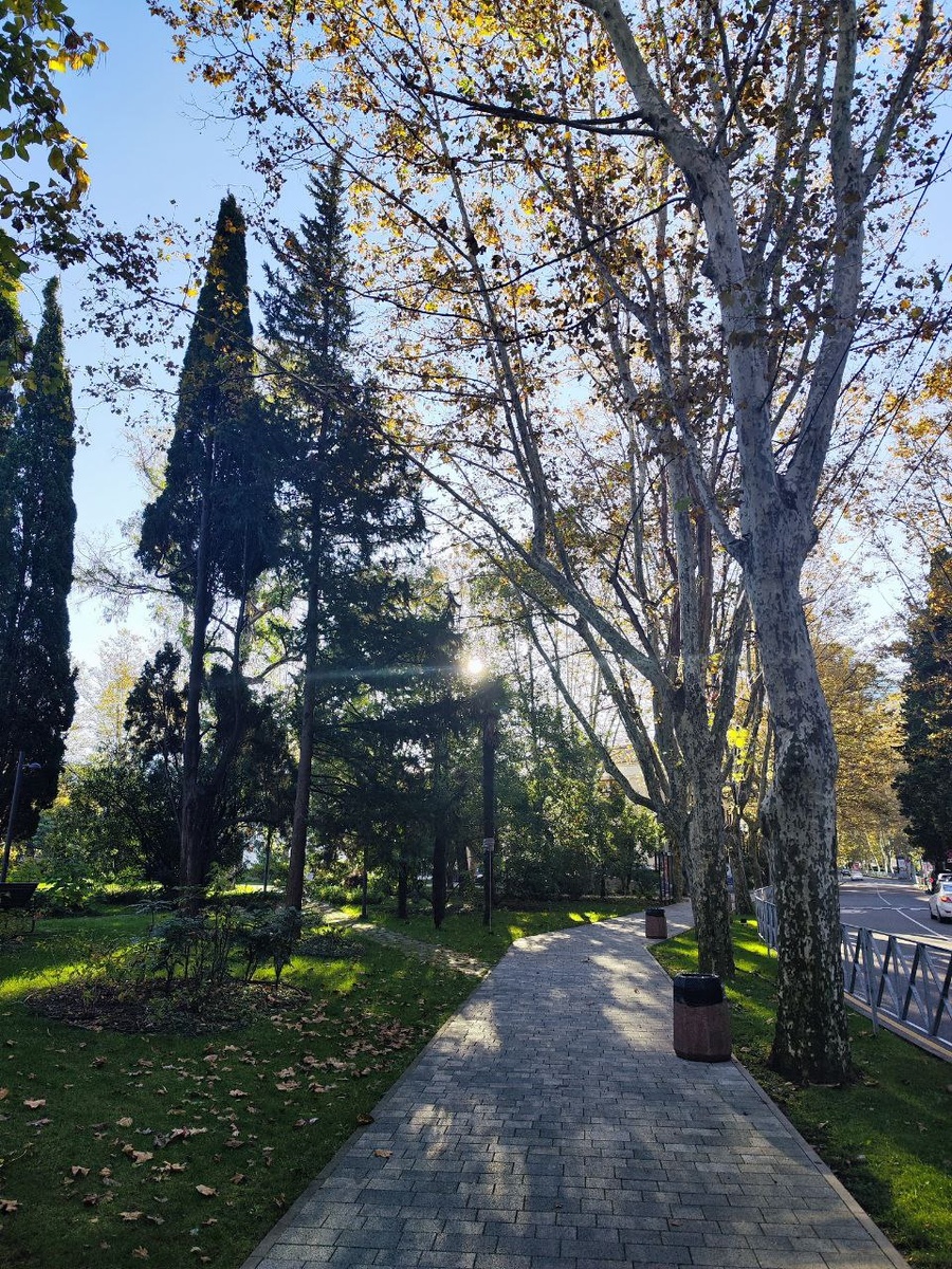 Прогулка по улице Орджоникидзе в Сочи