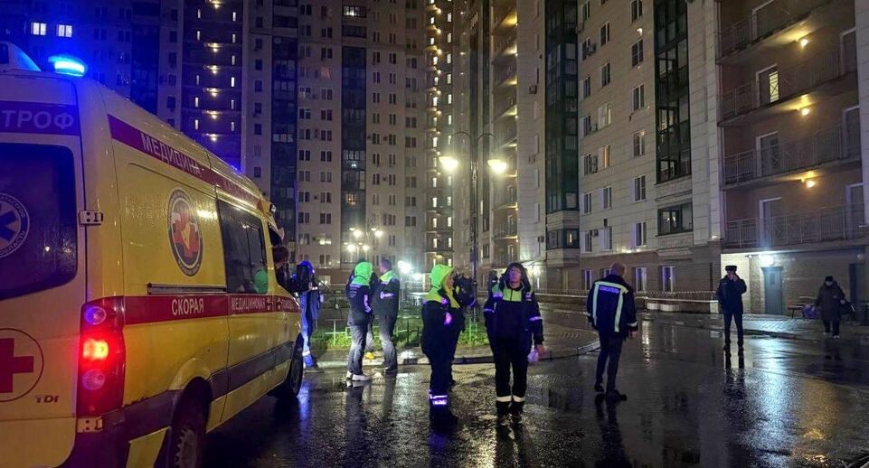    Губернатор Московской области Андрей Воробьев / Telegram