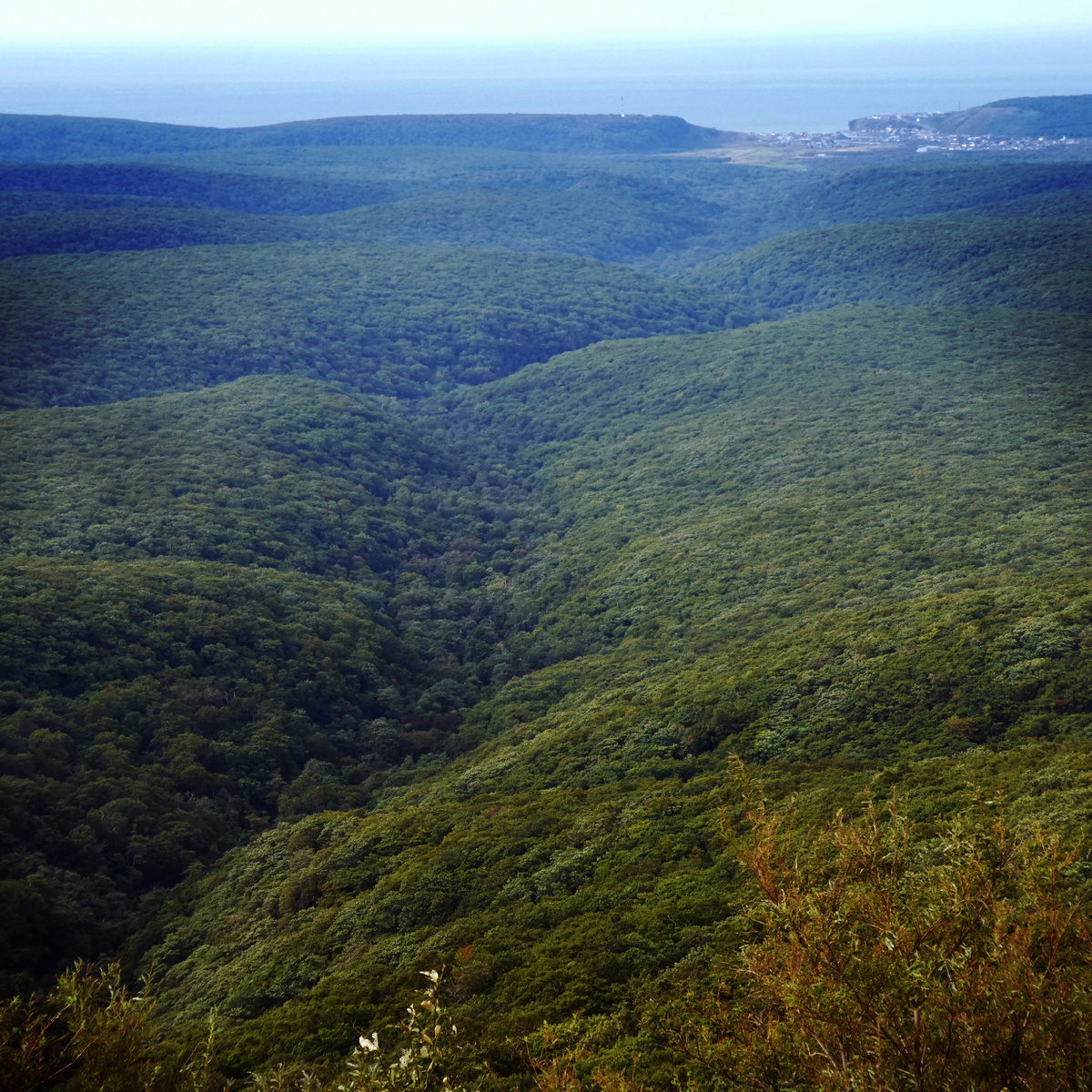 Итуруп - самый большой остров Курильской гряды, включающей 56 островов. Фото автора. 