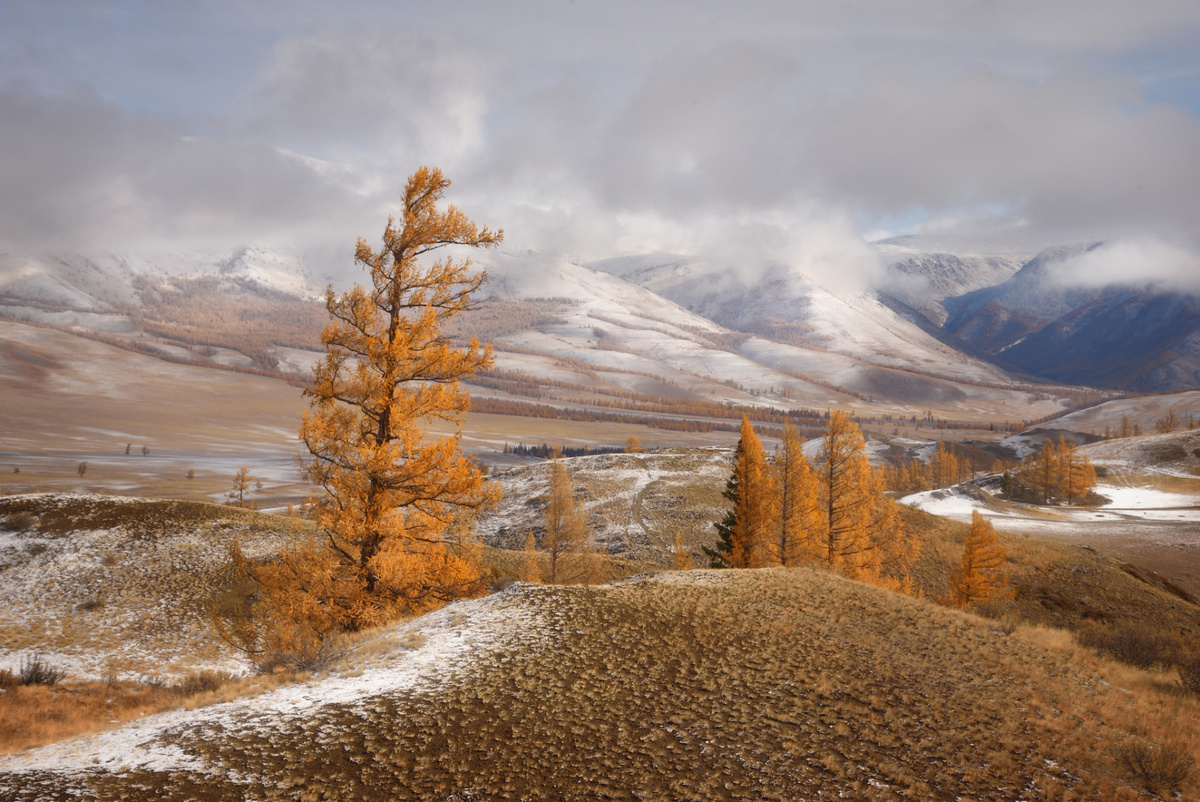 Фото Ольги Максимовой