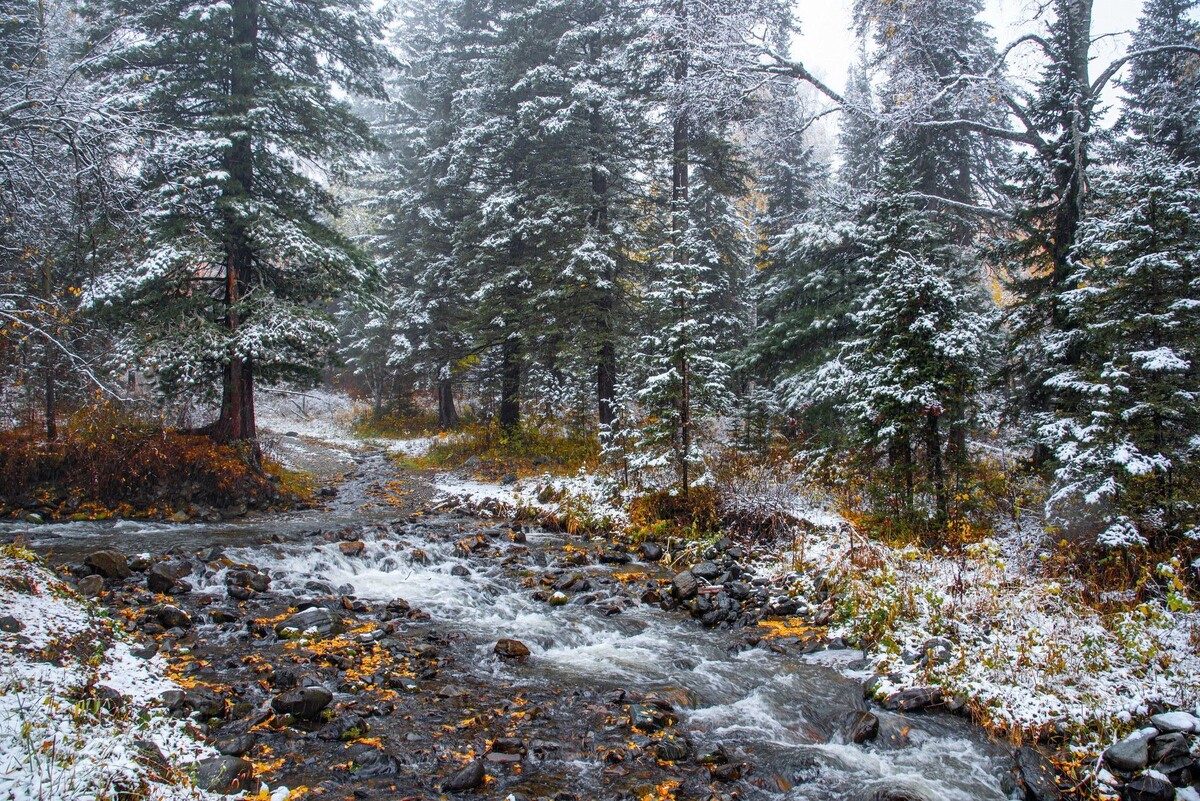 Горный Алтай, сентябрь 2025