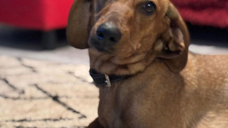 📣 МОСКВА и МО